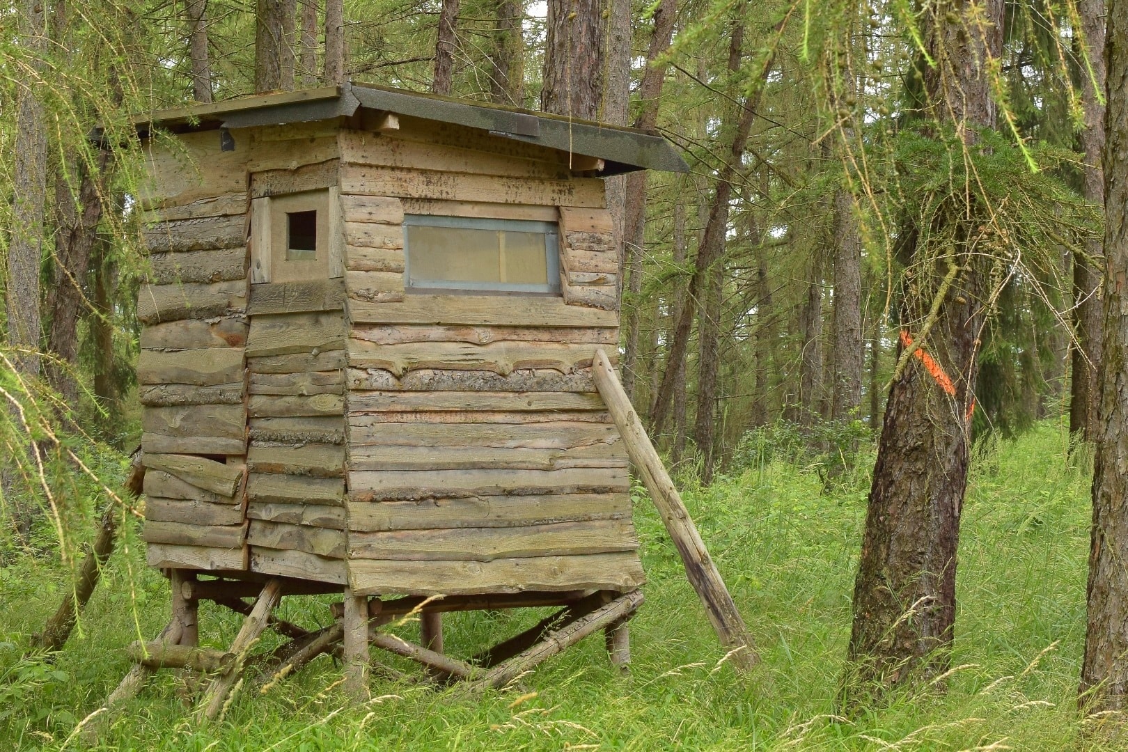 HUNTING RESERVE: GAME RESERVE FOR SALE IN ITALY - ESTATE WITH HUNTING RESERVE